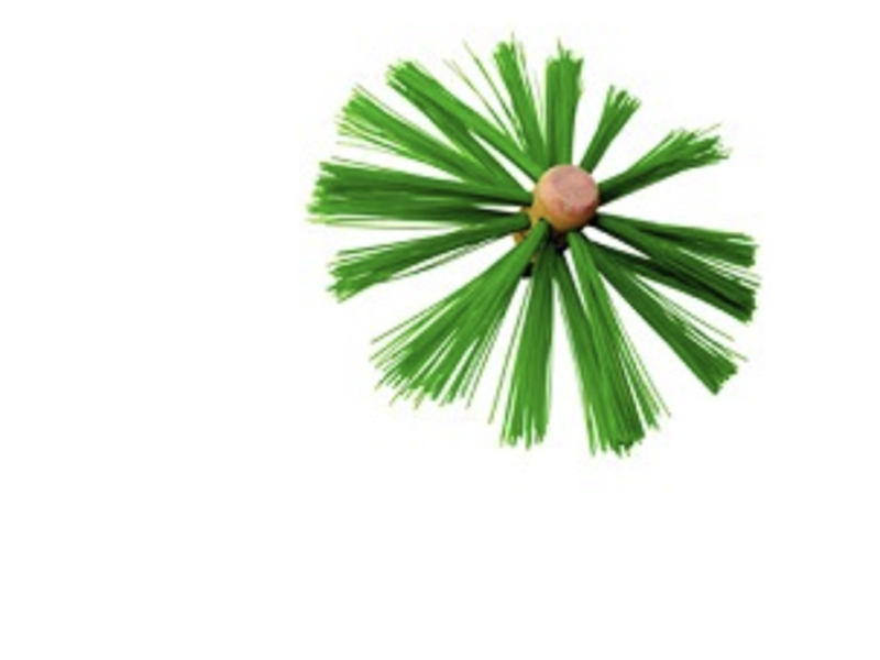 Chimney sweeping brushes category